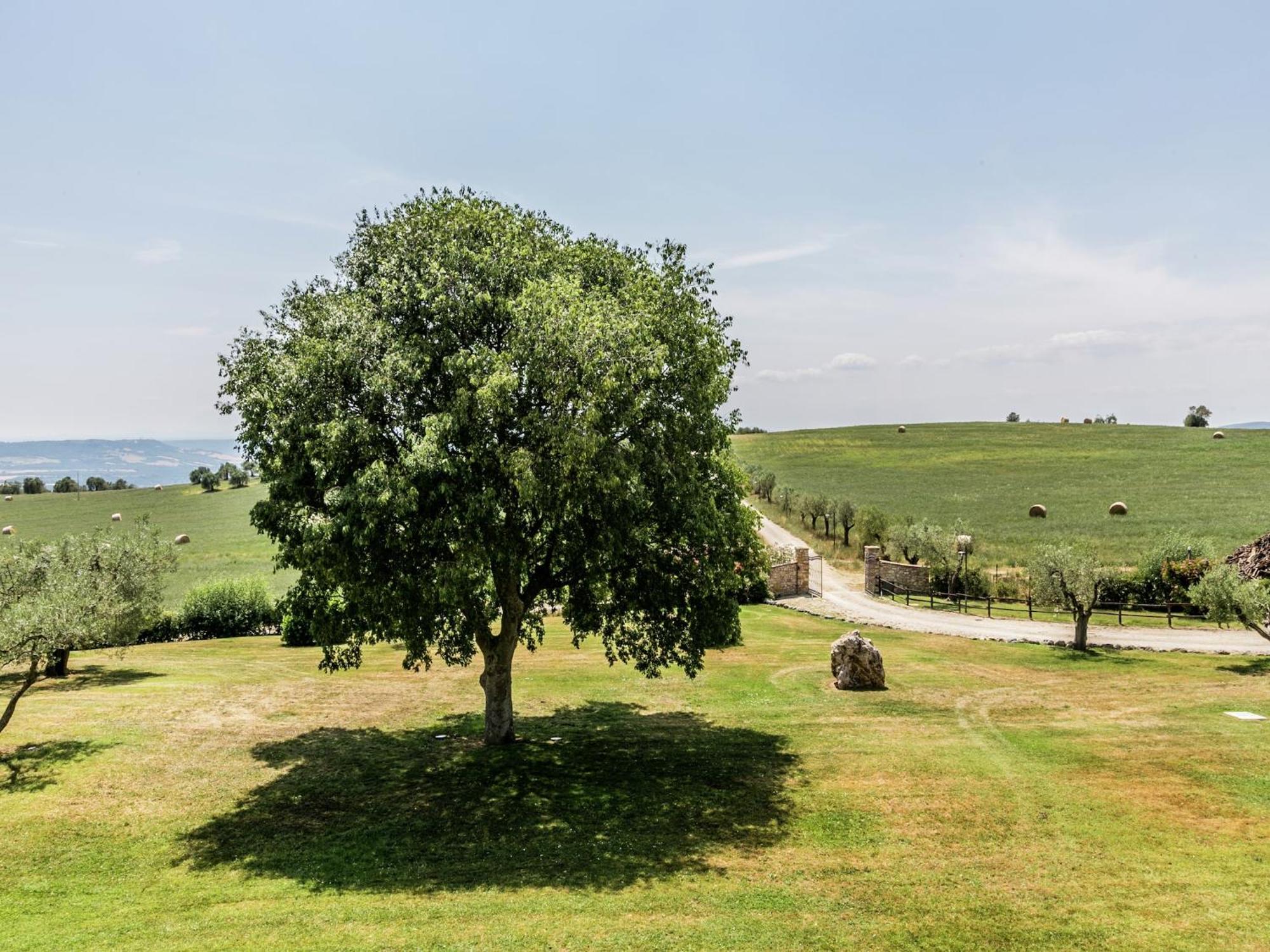 Elegant Apartment Only 1 Hour From Rome Narni Exterior foto